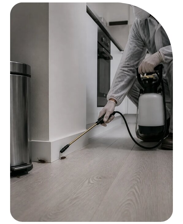 Обработка дома от тараканов в Михайловке по цене от 4575 р. | Сенат-Мхл